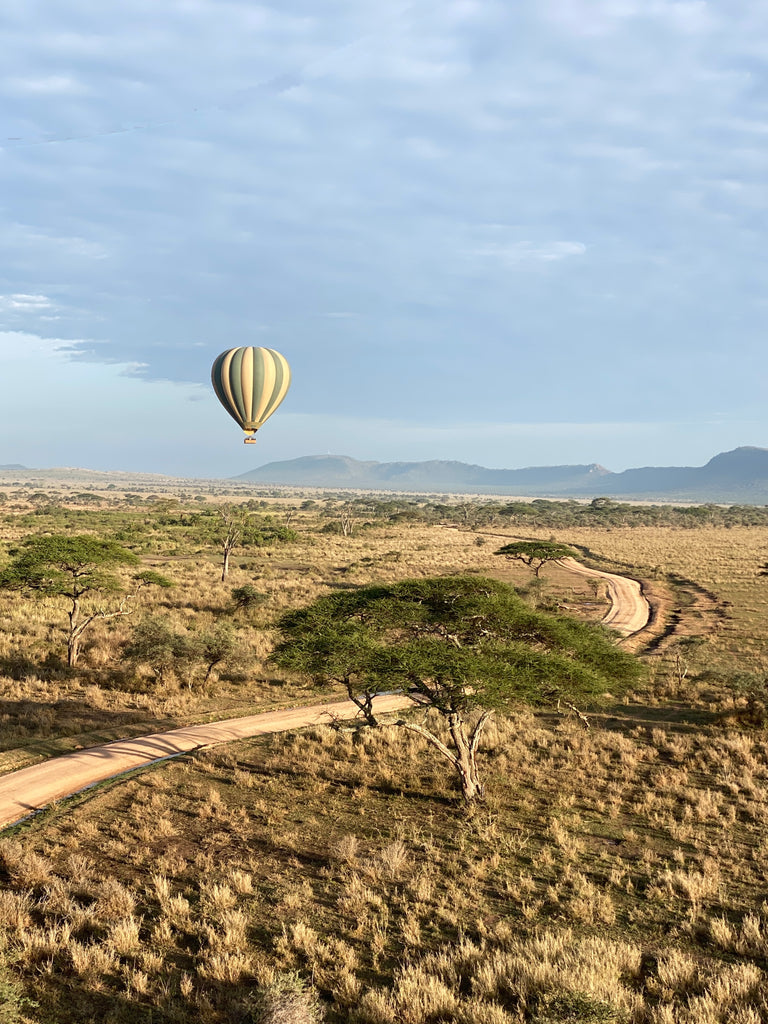 Soar above it all on a Hot Air Balloon Adventure over the Serengeti